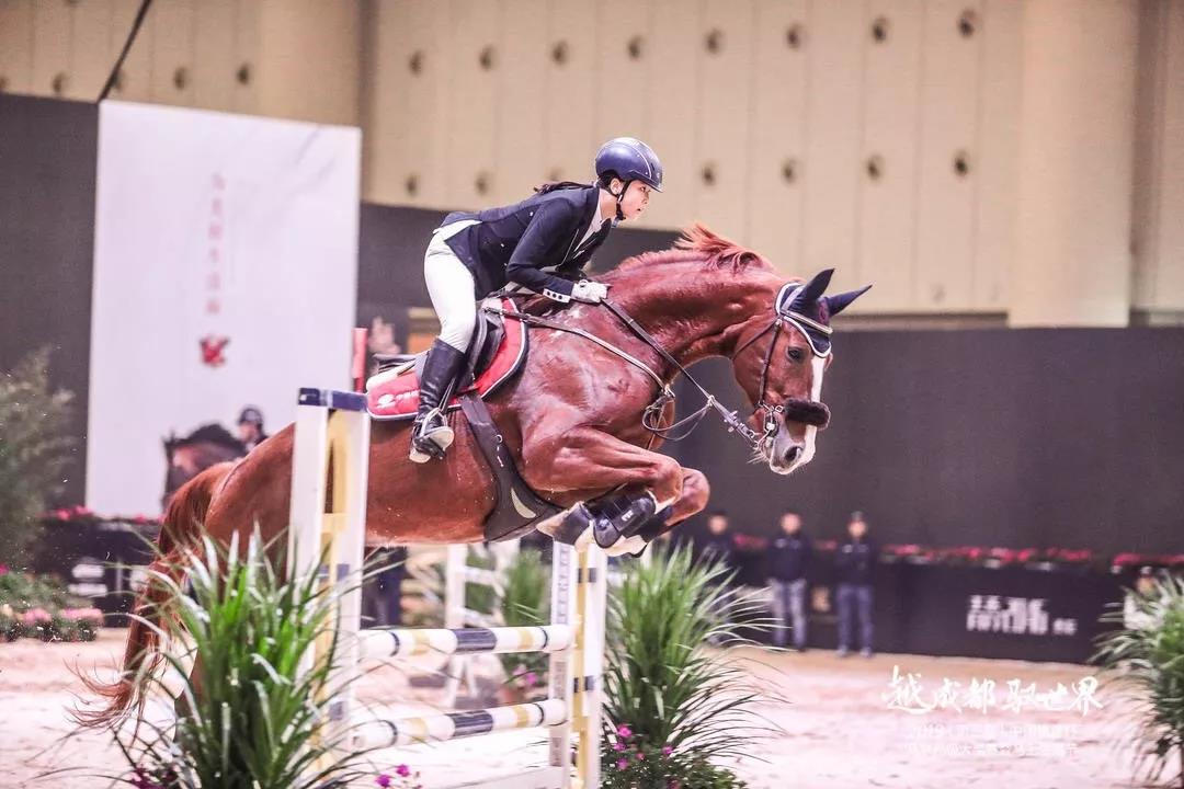 古传良骏日行千里 今有优游国际蓉城飘香